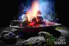360 Science: Energy Densities of Organic Fuels