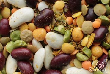 360 Science: Bean Bag Isotopes