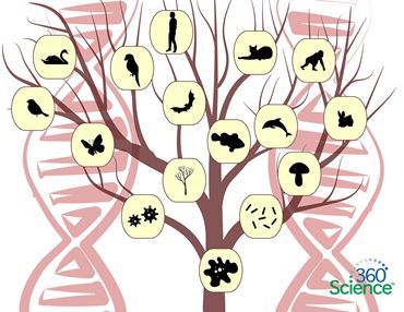360 Science: Understanding Evolutionary Relationships, 1-Year Access