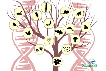360 Science: Understanding Evolutionary Relationships, 1-Year Access