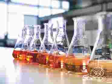 360 Science: Peroxidase Enzyme Activity, 1-Year Access