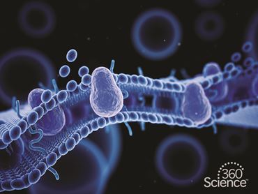 360 Science: Diffusion and Osmosis, 1-Year Access