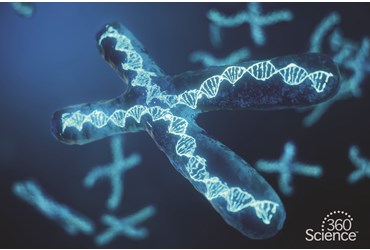 360 Science: Sordaria Genetics, 1-Year Access