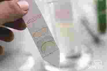 360 Science: Chromatography of a Dye Mixture, 1-Year Access