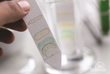 360 Science: Chromatography of a Dye Mixture, 1-Year Access