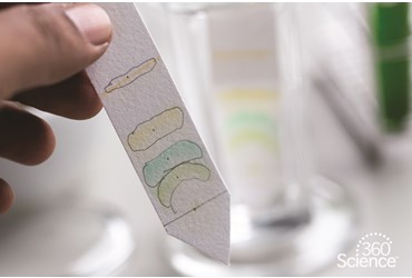 360 Science: Chromatography of a Dye Mixture, 1-Year Access