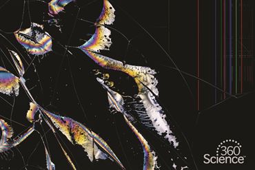 360 Science: Liquid Crystals: The Fourth State of Matter, 1-Year Access