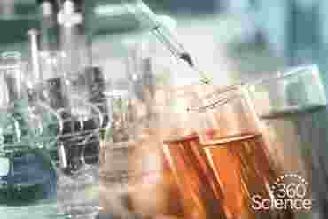 360 Science: Introduction to Chemical Reactions, 1-Year Access