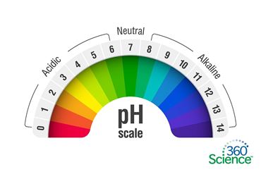 360 Science: Introduction to pH Scale and Indicators, 1-Year Access