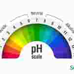360 Science: Introduction to pH Scale and Indicators, 1-Year Access