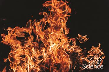 360 Science: The Hunt for Phlogiston, 1-Year Access