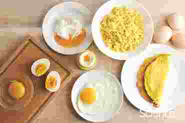 360 Science: Uncooking an egg, 1-Year Access