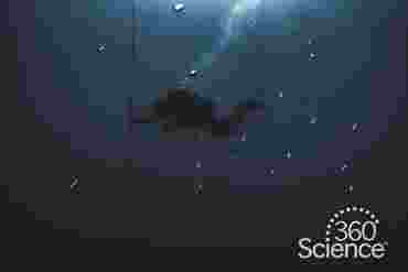 360 Science: Cartesian Divers, 1-Year Access