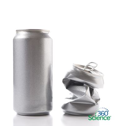 360 Science: What’s In a Container?, 1-Year Access