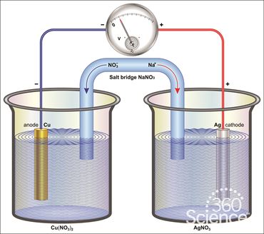 360 Science: Battery Challenge, 1-Year Access