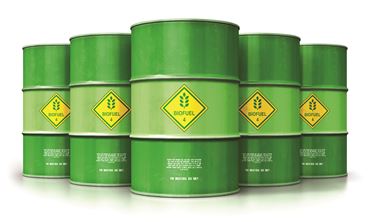 360 Science: Prepare and Characterize Biodiesel, 1-Year Access