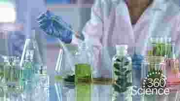 360 Science: Ester Synthesis, 1-Year Access