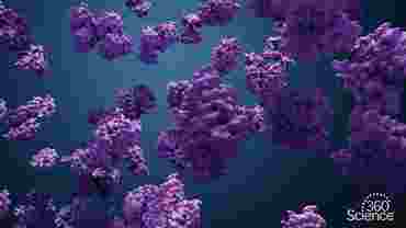 360 Science: Protein and Amino Acid Tests, 1-Year Access