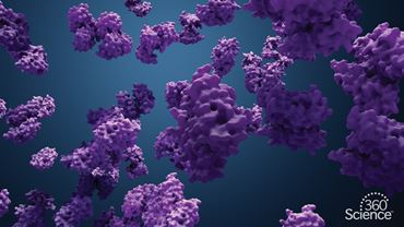 360 Science: Protein and Amino Acid Tests, 1-Year Access