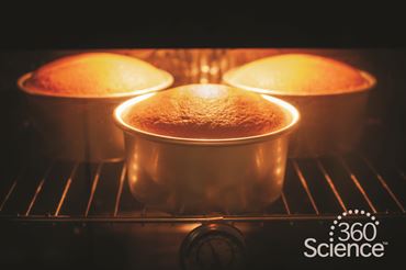 360 Science: Green Chemistry Analysis of a Reaction, 1-Year Access