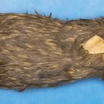 Preserved Rabbits for Biology and Life Science