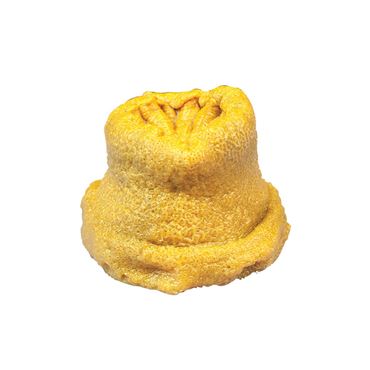 Anemones, 1-1.5+", Pail, Pkg. of 10