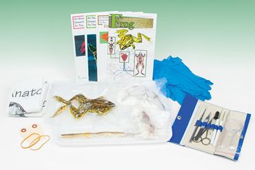 Animal Anatomy Explorer Kit with Dissection Tools