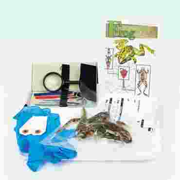 Animal Anatomy Explorer Kit with Dissection Tools