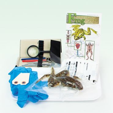 Animal Anatomy Explorer Kit with Dissection Tools