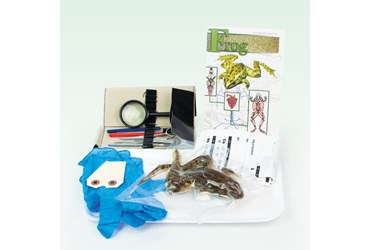 Animal Anatomy Explorer Kit with Dissection Tools