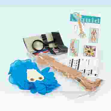 Animal Anatomy Explorer Kit with Dissection Tools
