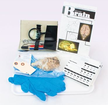 Animal Anatomy Explorer Kit with Dissection Tools