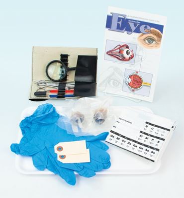 Animal Anatomy Explorer Kit with Dissection Tools