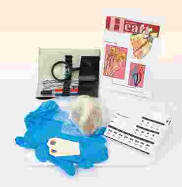 Animal Anatomy Explorer Kit with Dissection Tools