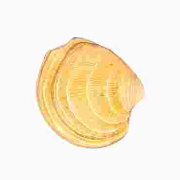 Preserved Marine Clam, Pkg. of 10