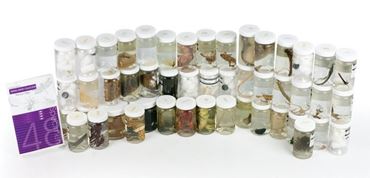 Preserved Specimen Survey Sets for Dissection