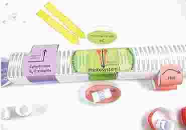 Photosynthesis/Light Reactions—NewPath Science 3-D Model Kit
