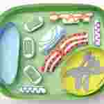 Simple Plant Cell—NewPath Science 3-D Model Kit