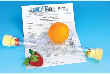 Fruit Fly Behavior Advanced Inquiry Lab Kit for AP* Biology