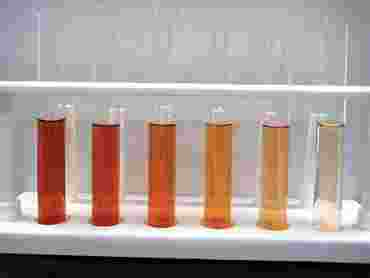 Peroxidase Enzyme Activity Advanced Inquiry Lab Kit for AP* Biology