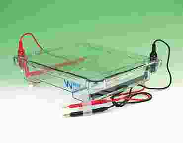 Flinn Six-Gel Electrophoresis Apparatus