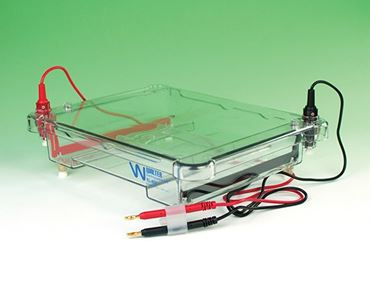 Flinn Six-Gel Electrophoresis Apparatus