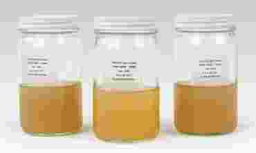 Tryptic Soy Agar Prepared Bottles