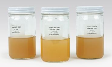 Tryptic Soy Agar Prepared Bottles