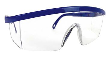 Safety Glasses for Biology and Physical Science Lab, Black