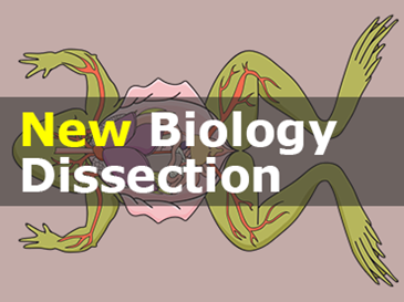 New Biology Dissection