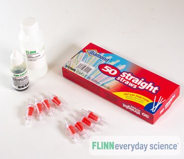 Cellular Respiration and Exercise - FlinnEverydayScience&trade;