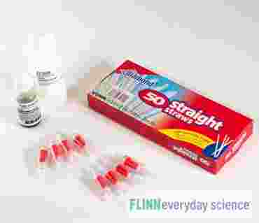 Cellular Respiration and Exercise - FlinnEverydayScience&trade;