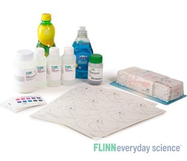 Red Cabbage Indicator Bird - FlinnEverydayScience&trade;