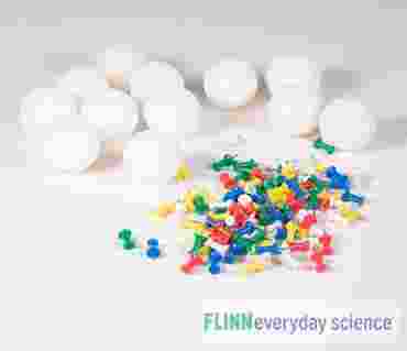 Blood Types and Inheritance Patterns - FlinnEverydayScience&trade;